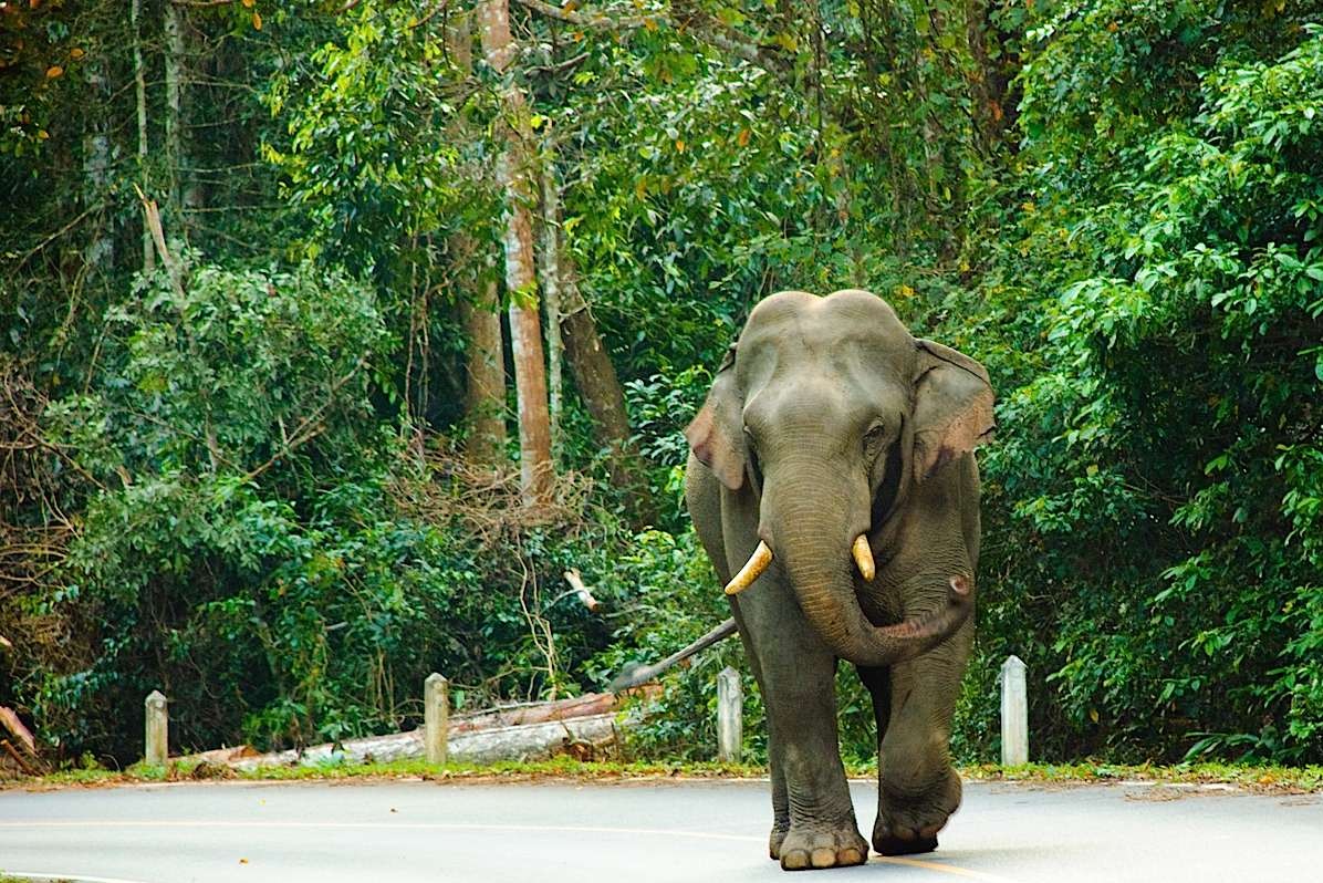 Thác Erawan bắt nguồn từ suối Monglai, dòng nước đổ xuống từ những ngọn đồi với độ cao 2000 m và chảy vào sông Khwae Yai. Thác được đặt theo tên con voi trắng ba đầu thần thoại của đạo Hindu sống trong rừng Himavarna.  Để đến được thác nước, du khách phải mất thêm 3 giờ để men theo khu đường mòn đến tầng cao nhất của thác.